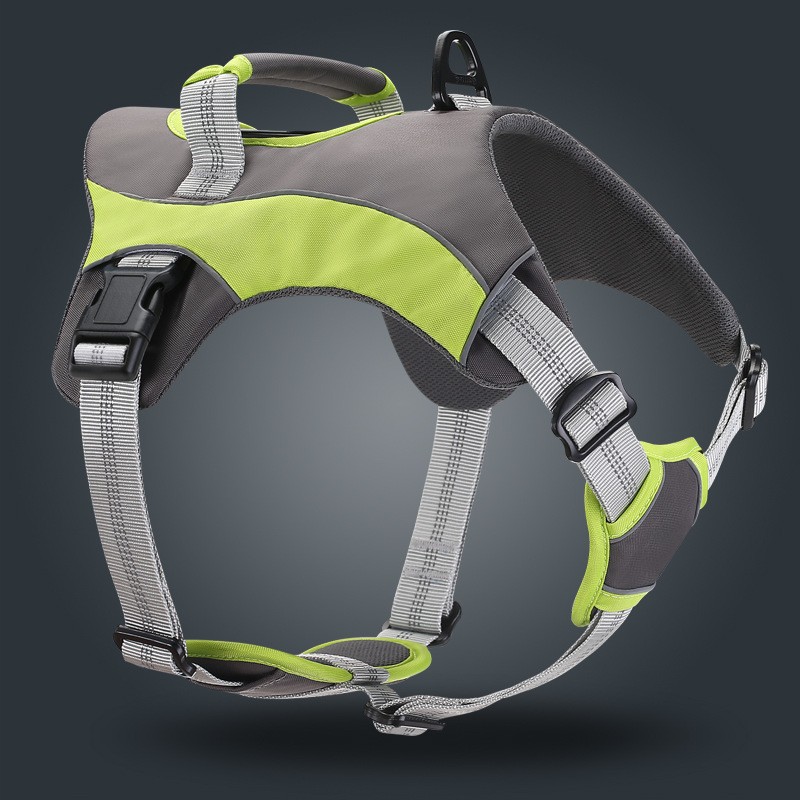 Hands-Free Hondenriem — Perfect voor Hardlopers - thumbnail 3