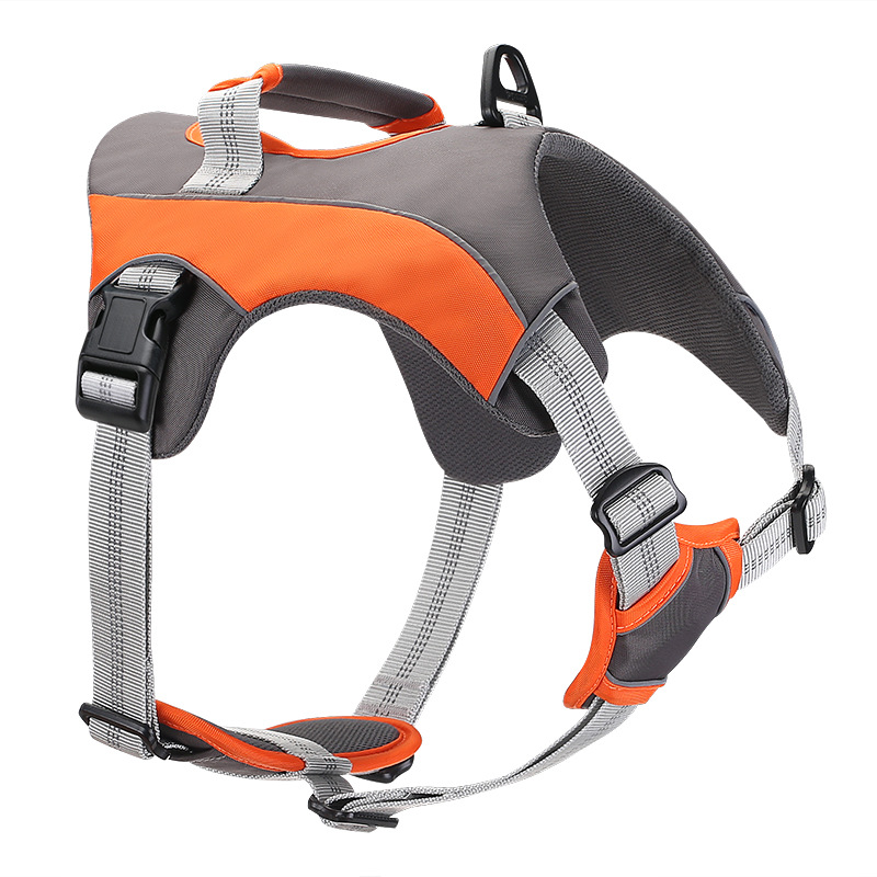 Hands-Free Hondenriem — Perfect voor Hardlopers - thumbnail 6